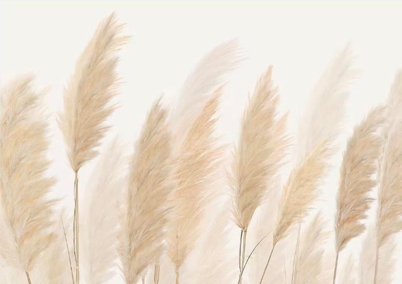 1x Nieuw in verpakking Fotobehang Pampasgras 360x255 cm, Huis en Inrichting, Ophalen, Beige, Modern, Natuurlijk, Rustiek
