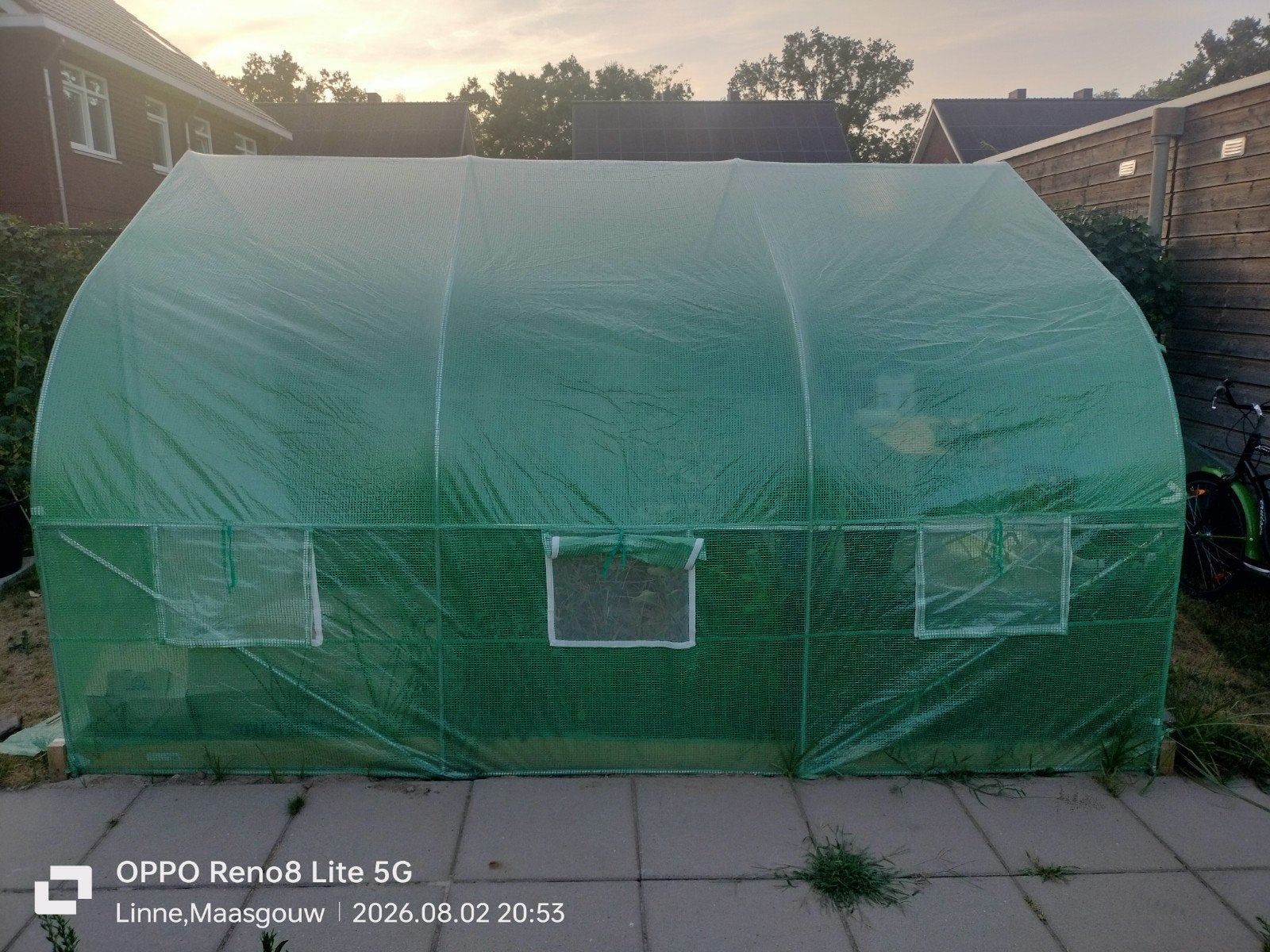 Stevige Kweektent / Tunnelkas 3x3.5m - Groen Gaasdoek, Gebruikt, Folie, Kweekkas, Ophalen
