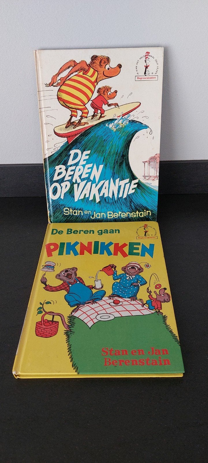 Stan en Jan Berenstain. De beren op vakantie. Piknikken, Ophalen of Verzenden, Gelezen