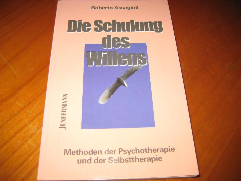 Die Schulung des Willens, Ophalen of Verzenden, Zo goed als nieuw
