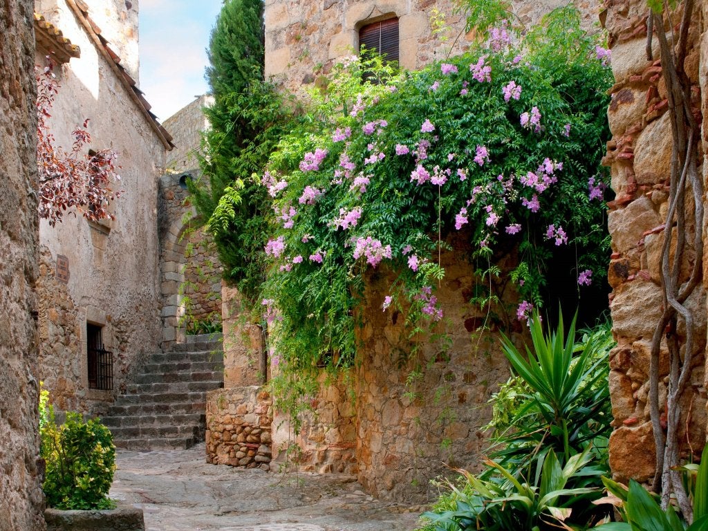 Spaans straatje fotobehang XL, Costa Brava, Bloemenstraat, Verzenden, Fotobehang