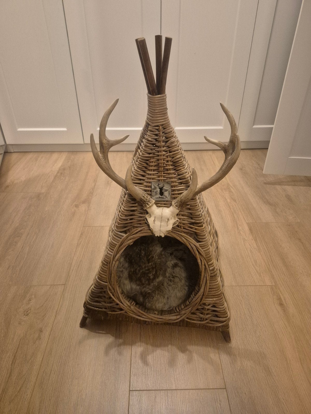 Mooie Rotan kantten tipi vam Boony Est., Ophalen, Gebruikt, Riet