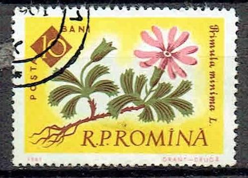 Roemenie 1961 Dwergsleutelbloem, Verzenden, Gestempeld, Dier of Natuur