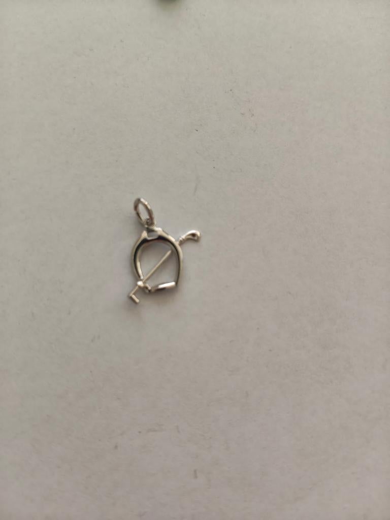 1355 hanger met hoefijzer en zweepje, Verzenden, Nieuw, Zilver, Overige materialen
