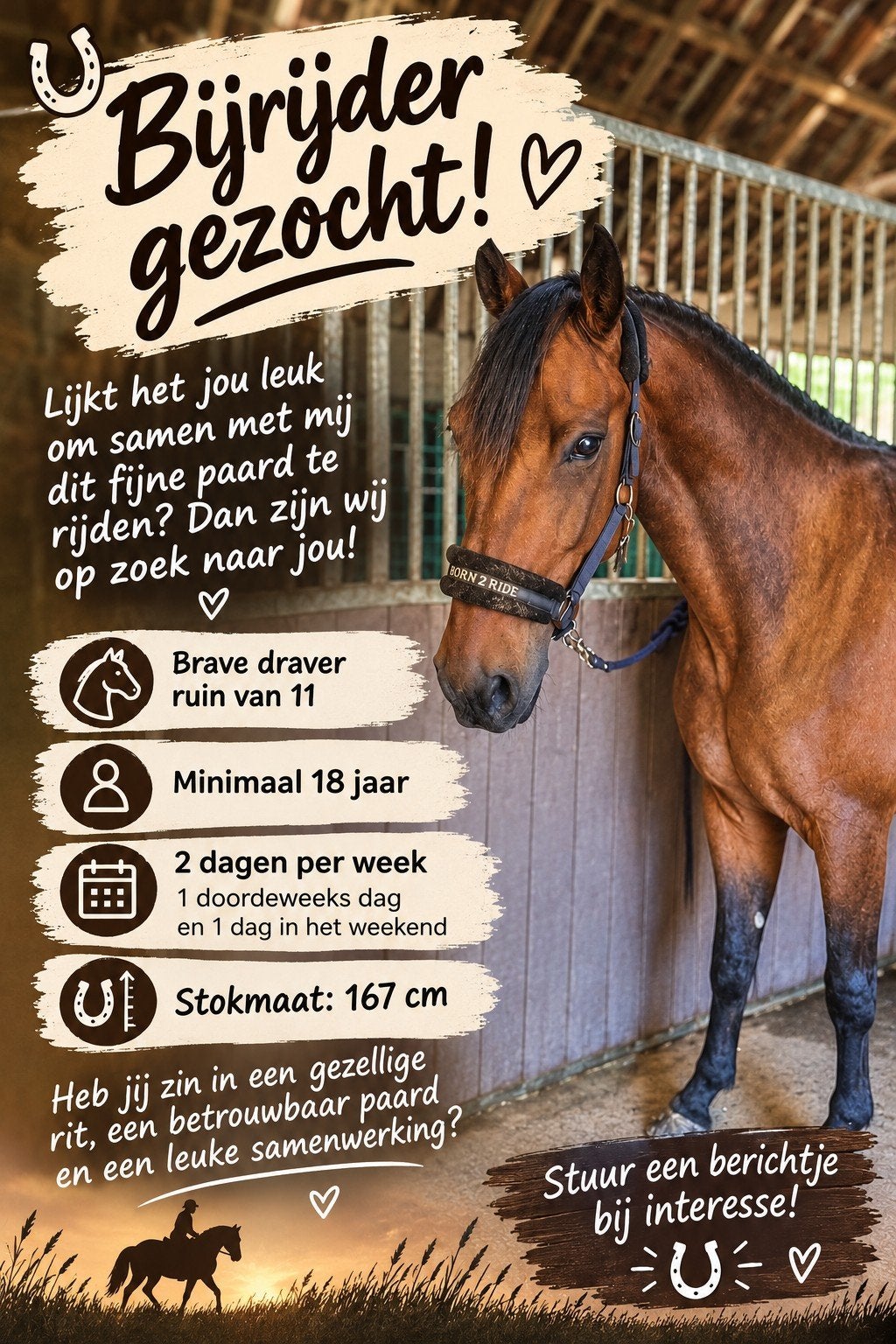 bijrijder gezocht, Dieren en Toebehoren, Ophalen of Verzenden