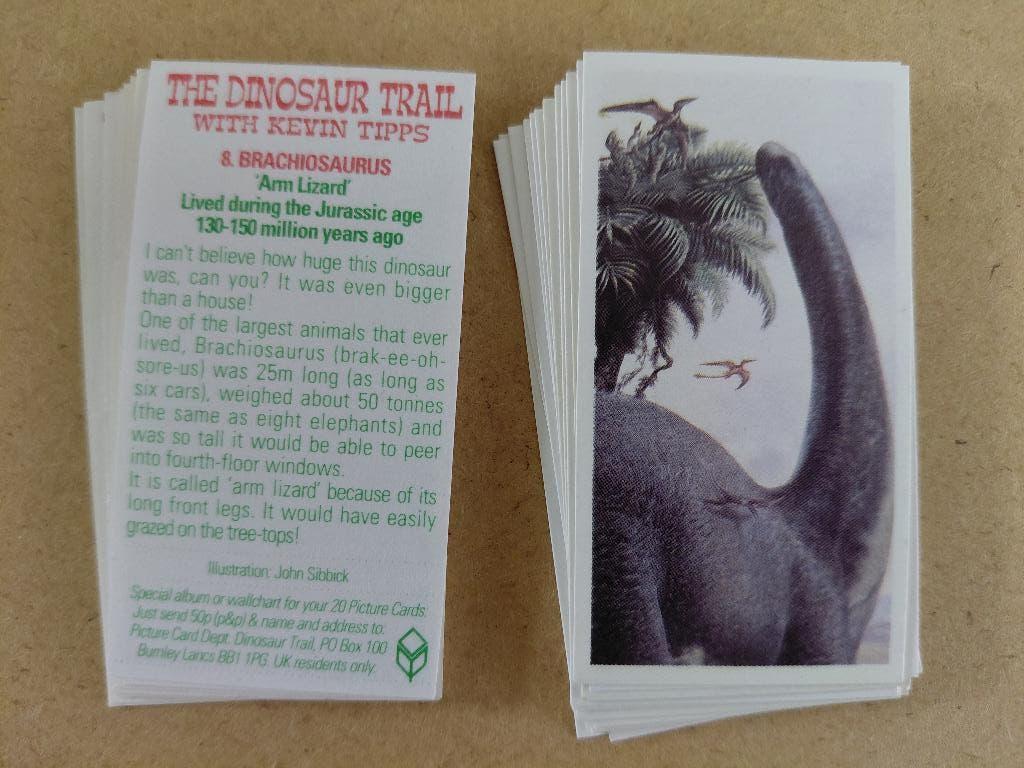 The Dinosaur Trail complete set 20 tea cards BB11PG, Ophalen