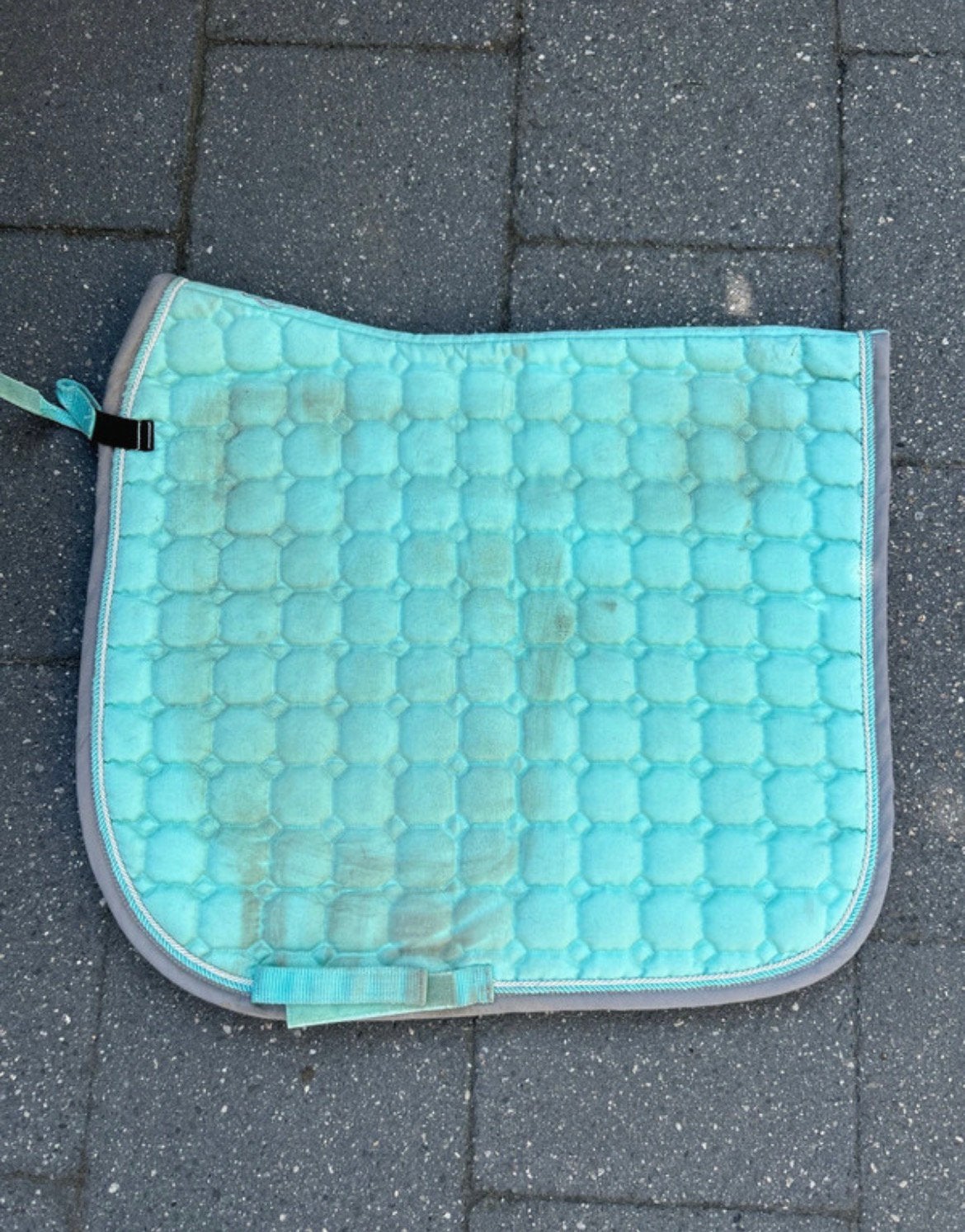 dekje, Dieren en Toebehoren, Full (L), Gebruikt, Dressuurdekje, QHP
