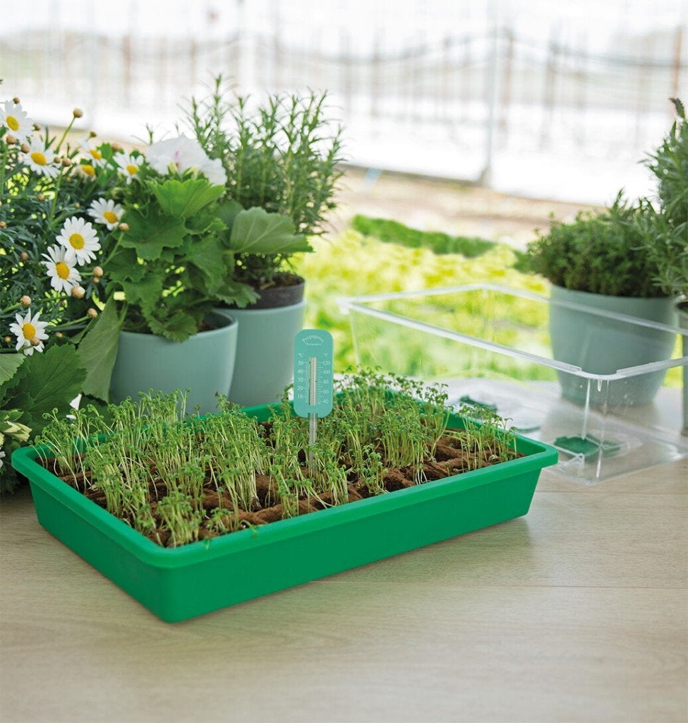 Lage Thermometer is ook geschikt voor in de propagator, Tuin en Terras, Kweekspullen, Ophalen of Verzenden, Nieuw, Klimaatbeheersing