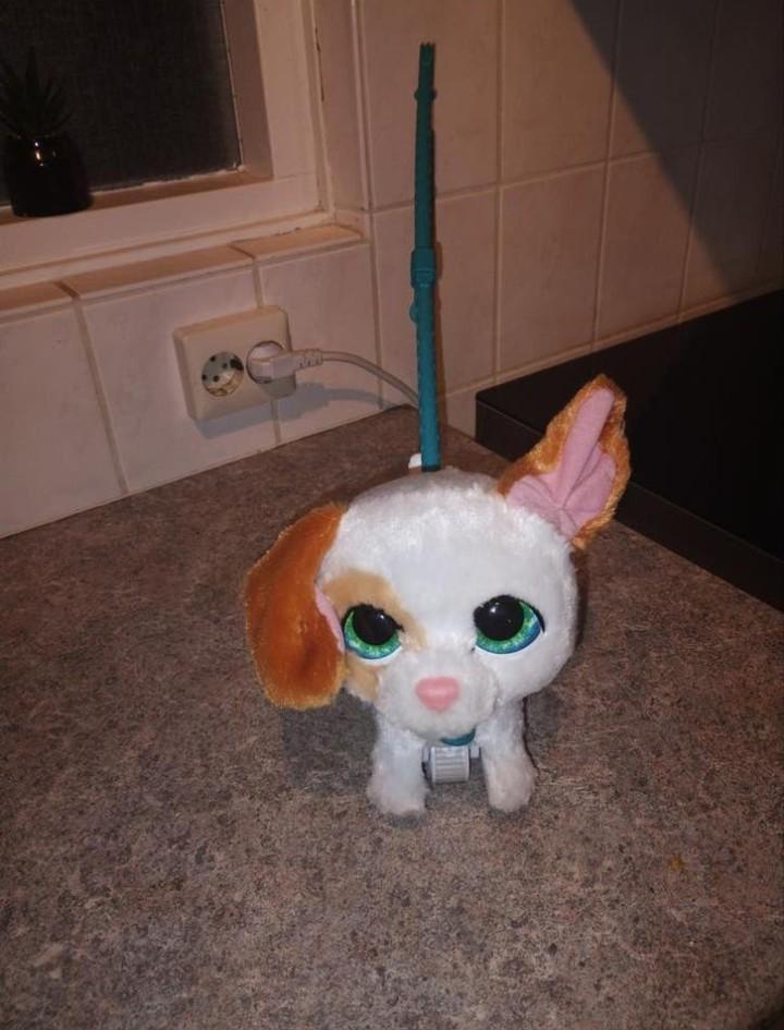 Fur Real hondje, Ophalen of Verzenden