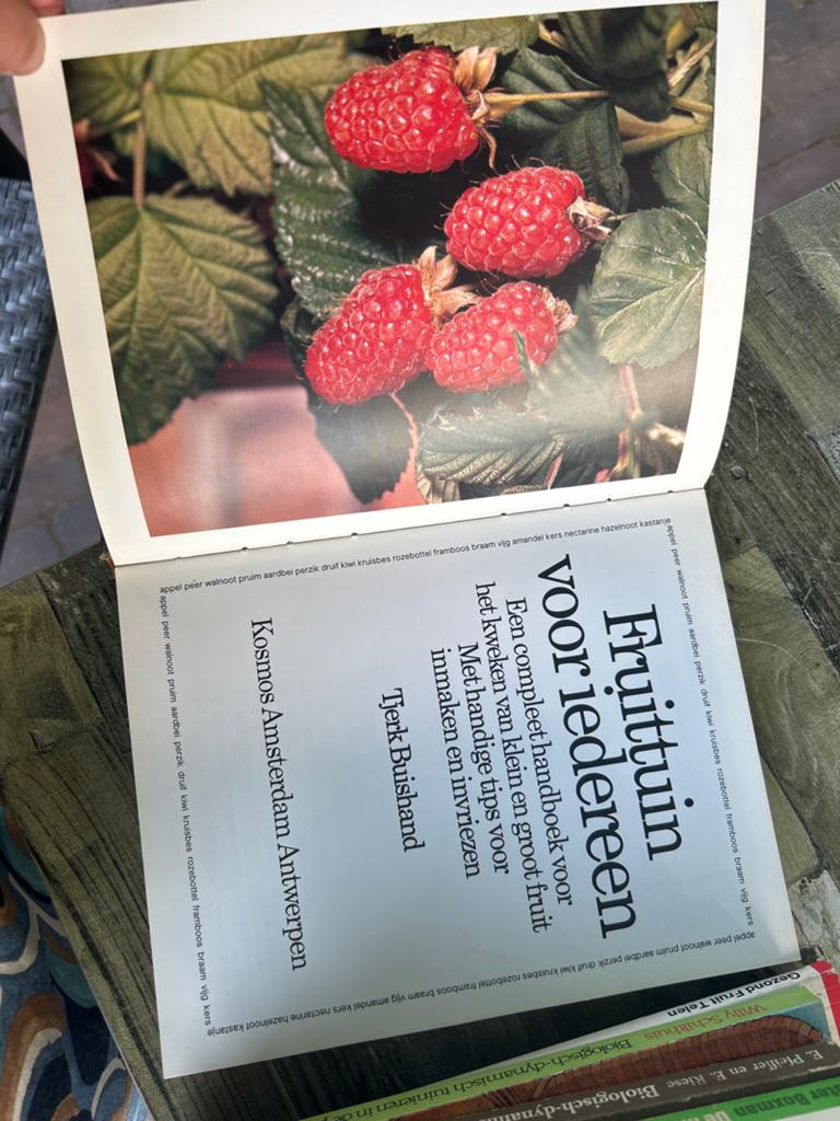 Fruittuin voor iedereen - Tjerk Buishand, Boeken, Ophalen of Verzenden, Gelezen, Tuinieren en Tuinplanten
