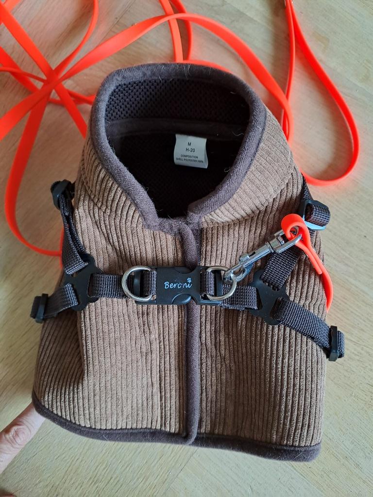 Tuigje, looptuigje, kattentuigje Beroni, zgan, Dieren en Toebehoren, Katten-accessoires, Ophalen of Verzenden, Zo goed als nieuw
