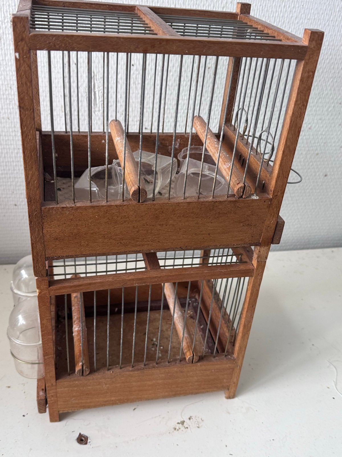 2x Zangkooitje 5 per stuk, Dieren en Toebehoren, Vogels | Overige Vogels