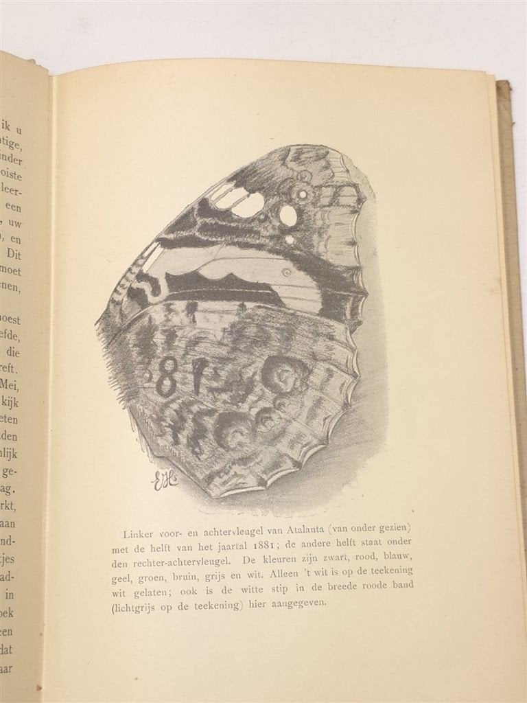 Van Vlinders, Bloemen en Vogels — Heimans & Thijsse 1913, Ophalen of Verzenden