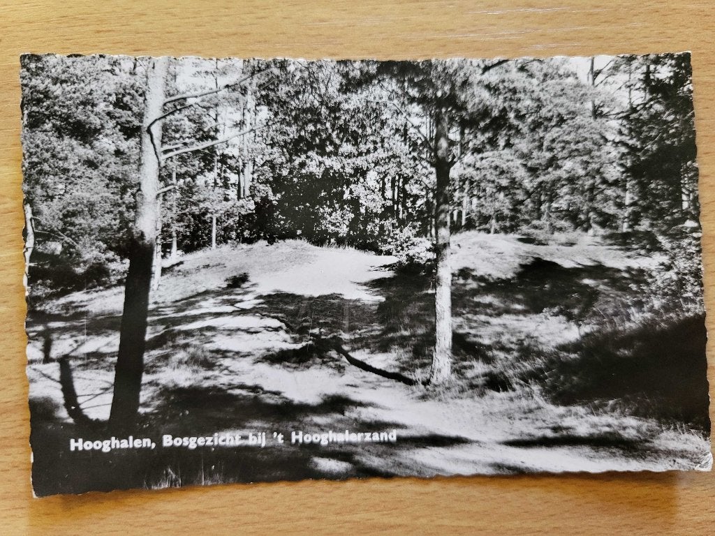 ansicht HOOGHALEN Hooghalerzand, Ophalen of Verzenden, Voor 1920, Drenthe