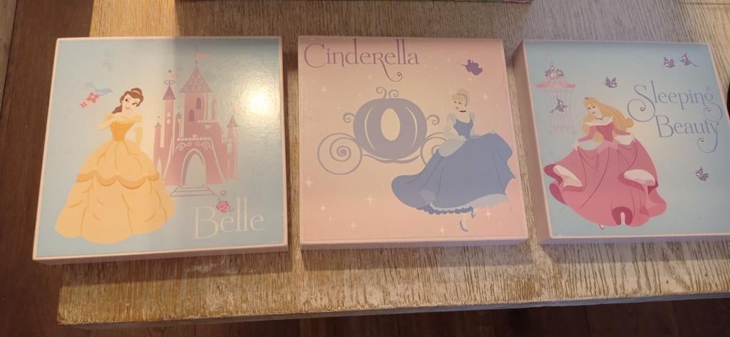 Mooie prinsessen schilderijen met Disney doos., Ophalen, Zo goed als nieuw