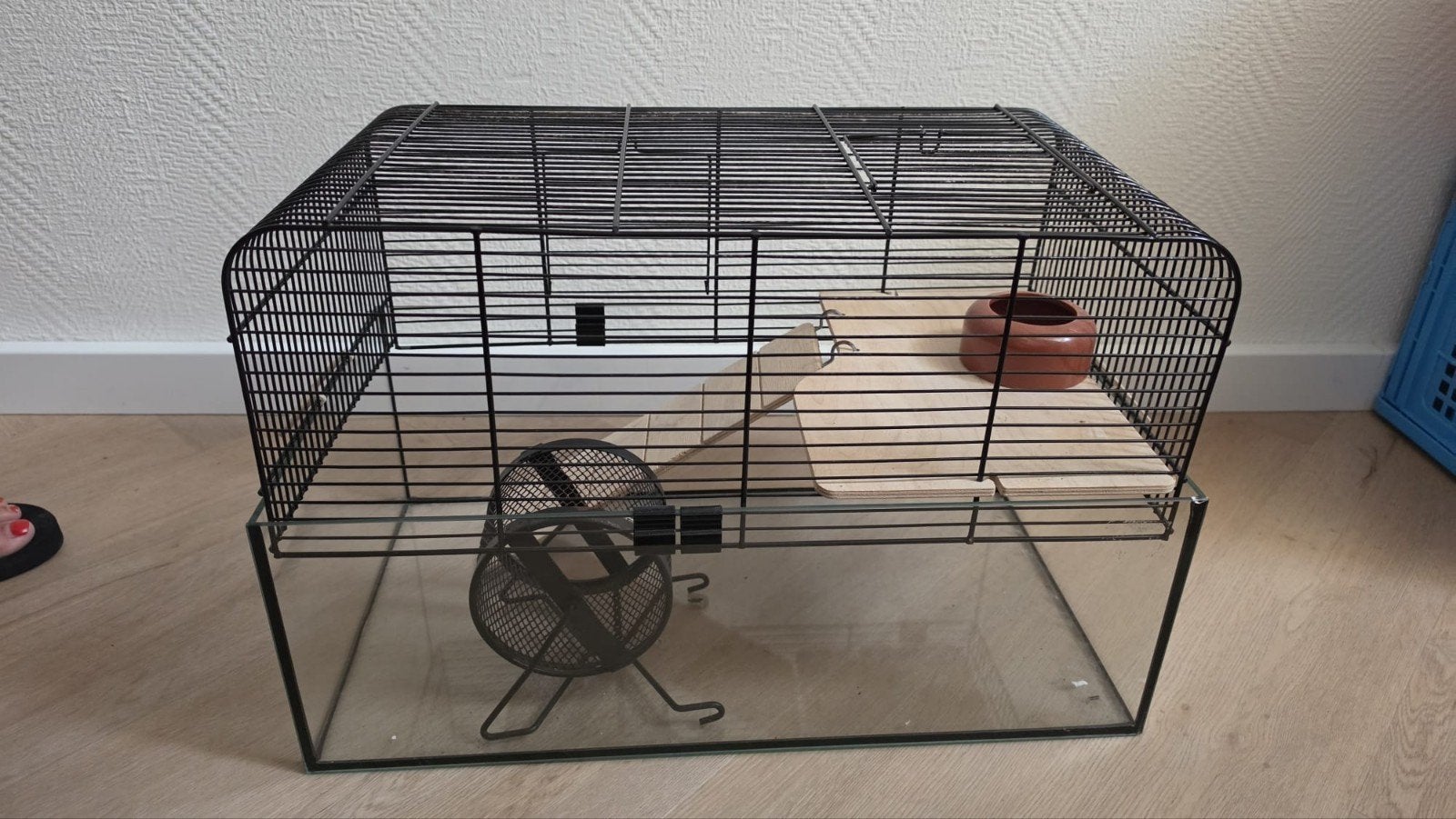 Glazen hamsterkooi / knaagdierenverblijf van glas/tralies +, Kooi, Minder dan 75 cm, Zo goed als nieuw, Ophalen