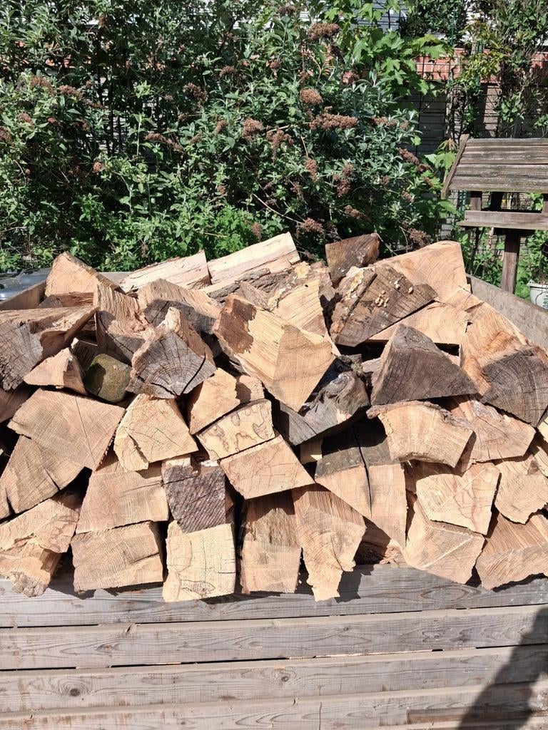 Haardhout., 6 m³ of meer, Ophalen of Verzenden