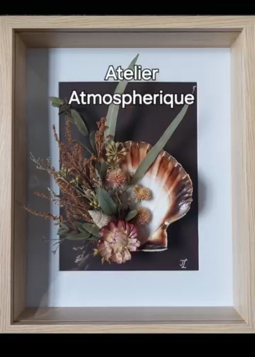 Schelp in lijst, Antiek en Kunst, Ophalen of Verzenden