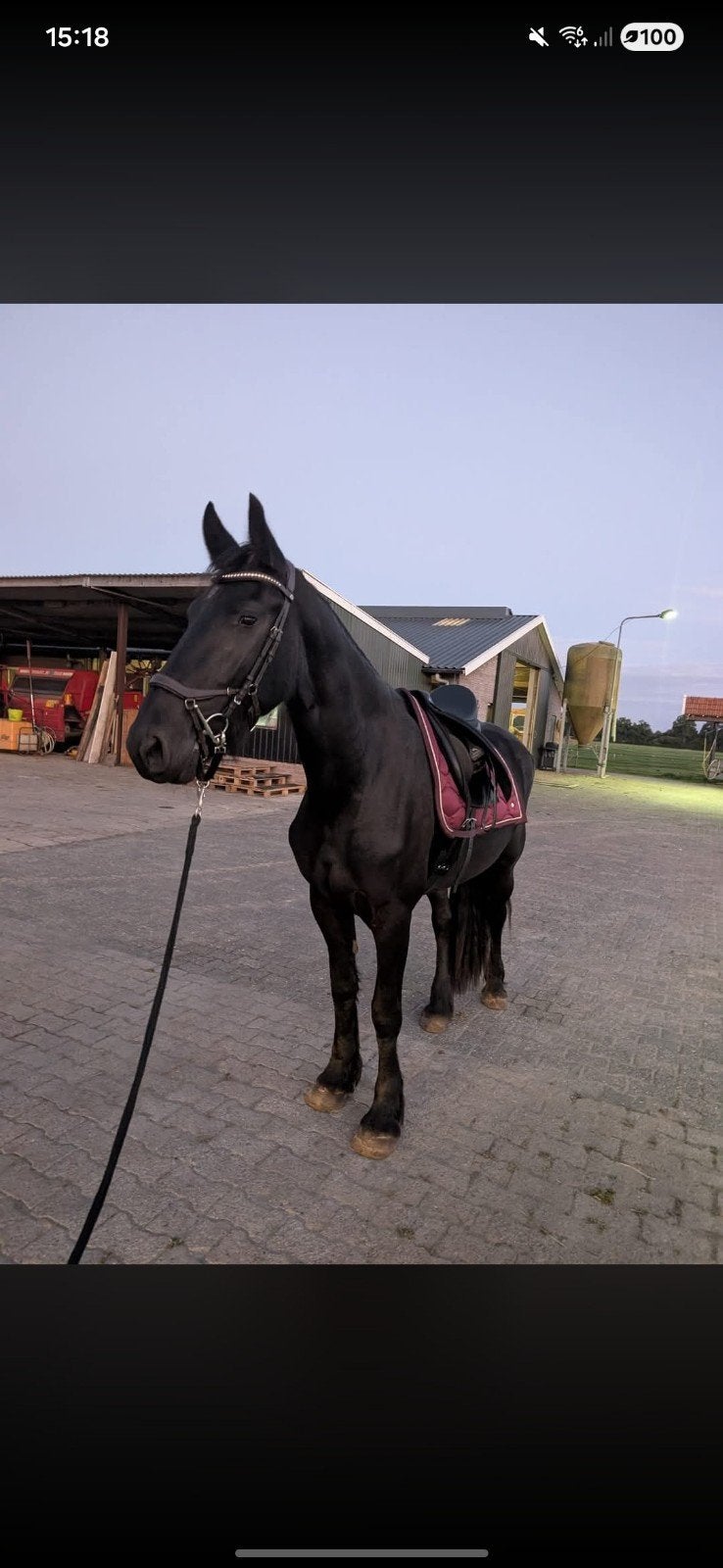Lease paard, Ophalen, Nieuw