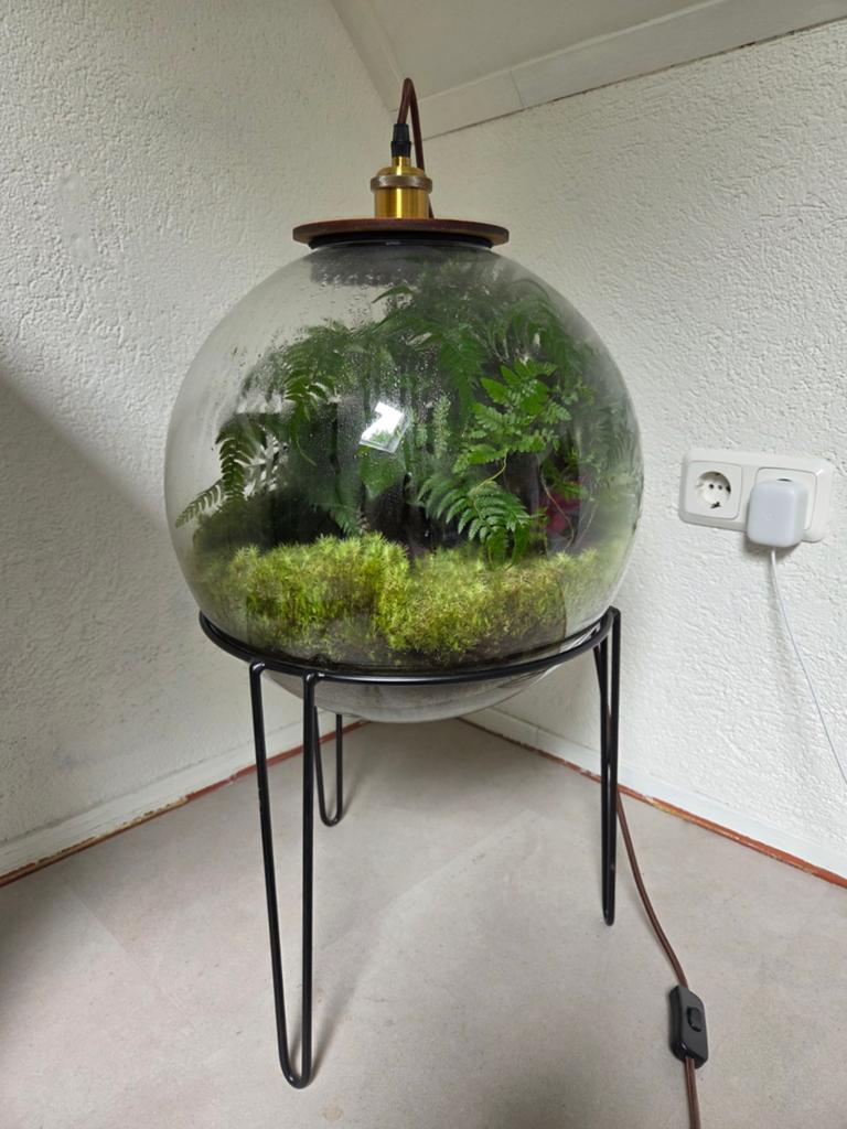 Demeter Botanical - Terrarium Met Lamp En Standaard, Ophalen, Halfschaduw, Minder dan 100 cm