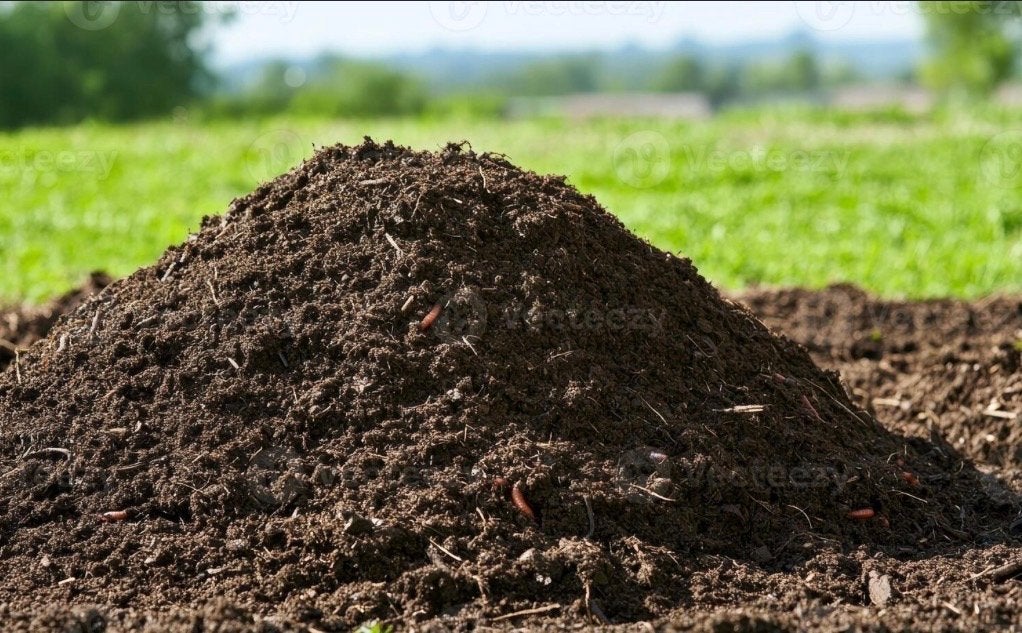 6 kuub schone grond af te halen vanaf 21 augustus, Ophalen, Gebruikt, Ophoogzand