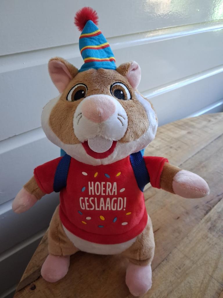 AH Hamster  - Hoera Geslaagd  !, Hamster, Ophalen of Verzenden, Middelgroot (20 tot 80 cm), Met kleding of accessoire