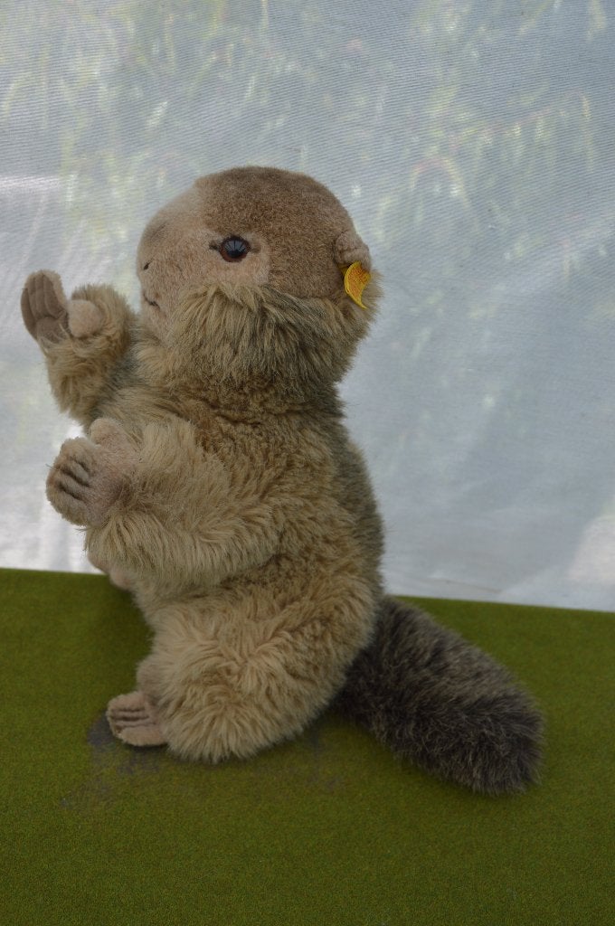 Vintage Steiff Molly Piff, Marmot met imitatie pels 30 cm, Ophalen of Verzenden, Gebruikt, Stoffen beer, Steiff