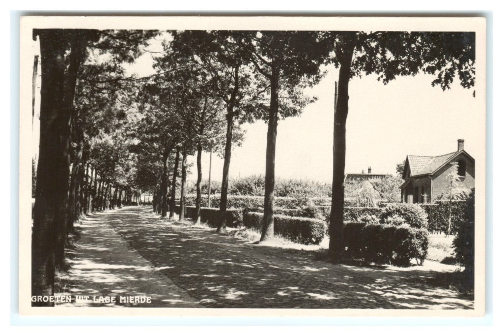 Lage Mierde, Groeten uit Lage Mierde, Ophalen of Verzenden, 1940 tot 1960, Gelopen, Noord-Brabant