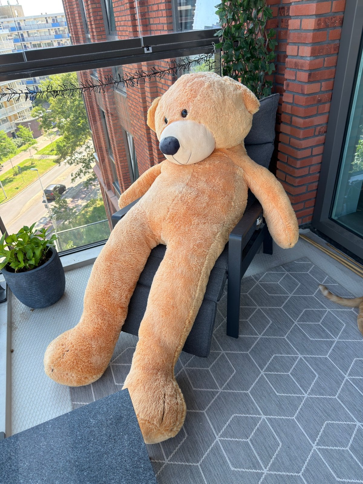 Grote XL zachte teddybeer, Ophalen, Zo goed als nieuw, Stoffen beer, Overige merken
