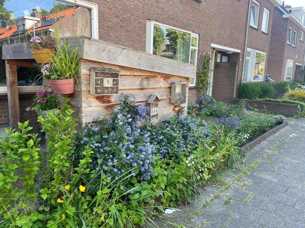 Fietsenberging met Sedum dak, Ophalen, Gebruikt, Hout, Fietsenberging