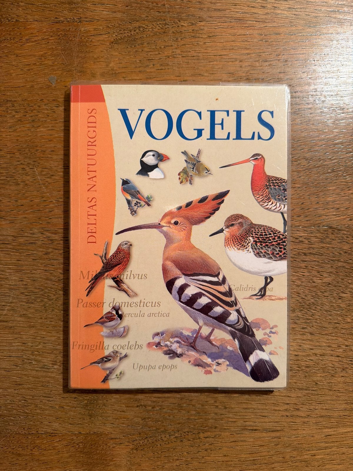 Vogels, Ophalen of Verzenden, Zo goed als nieuw, Vogels