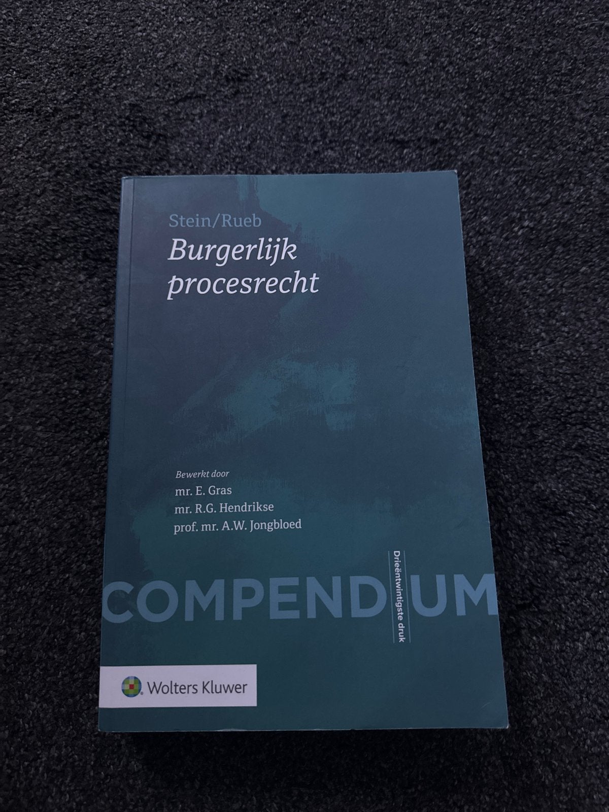 Compendium Burgerlijk procesrecht - Stein/Rueb, Ophalen of Verzenden, Gamma, Zo goed als nieuw, WO
