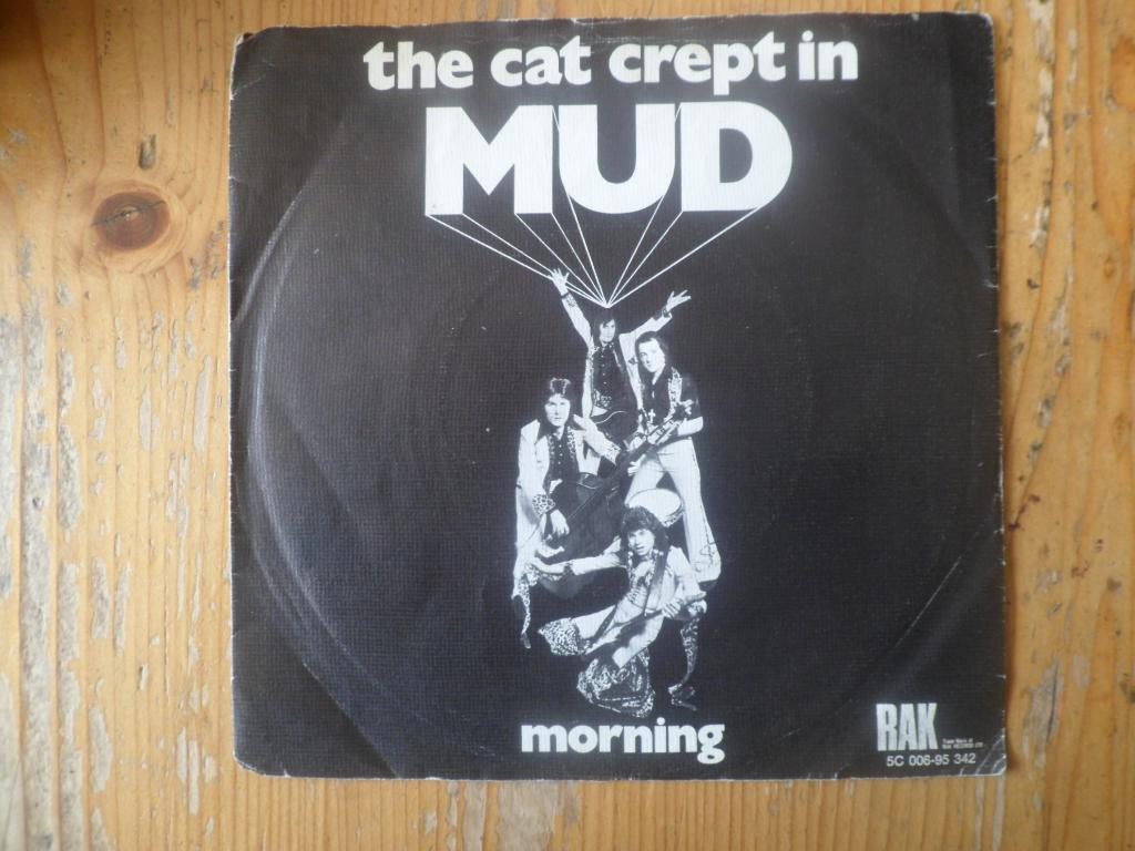 Mud, Cd's en Dvd's, Vinyl Singles, Ophalen of Verzenden, Gebruikt, Pop