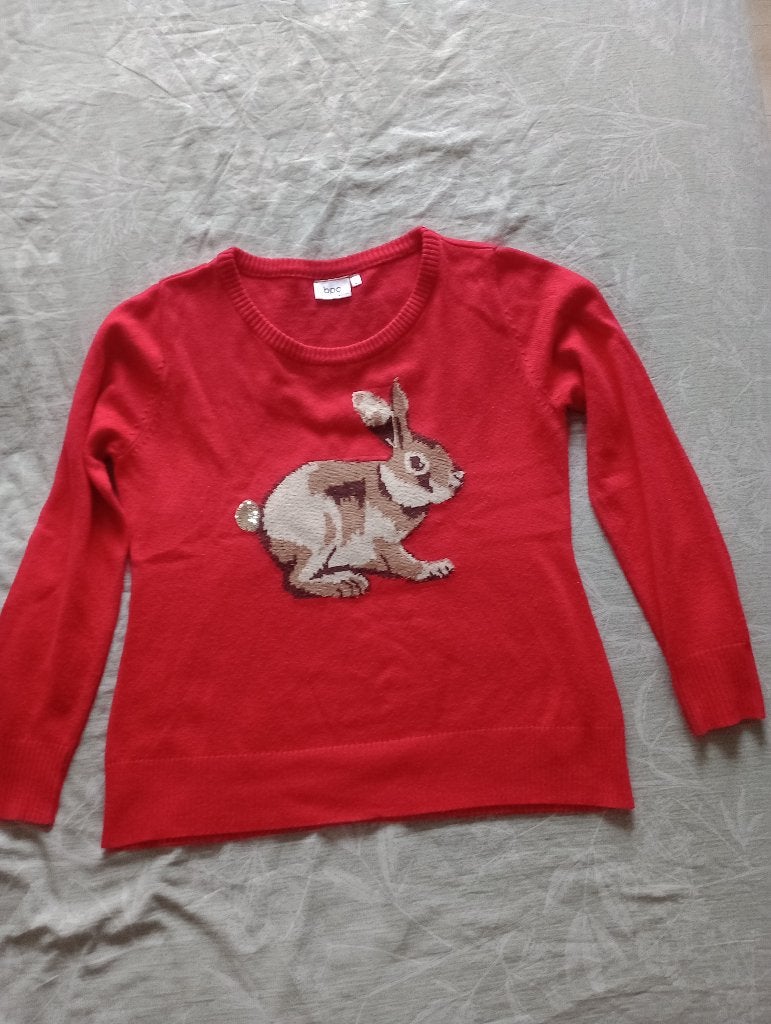 Dames Trui, Rood - Maat 40/42, Ophalen of Verzenden, Zo goed als nieuw, Maat 42/44 (L), Rood