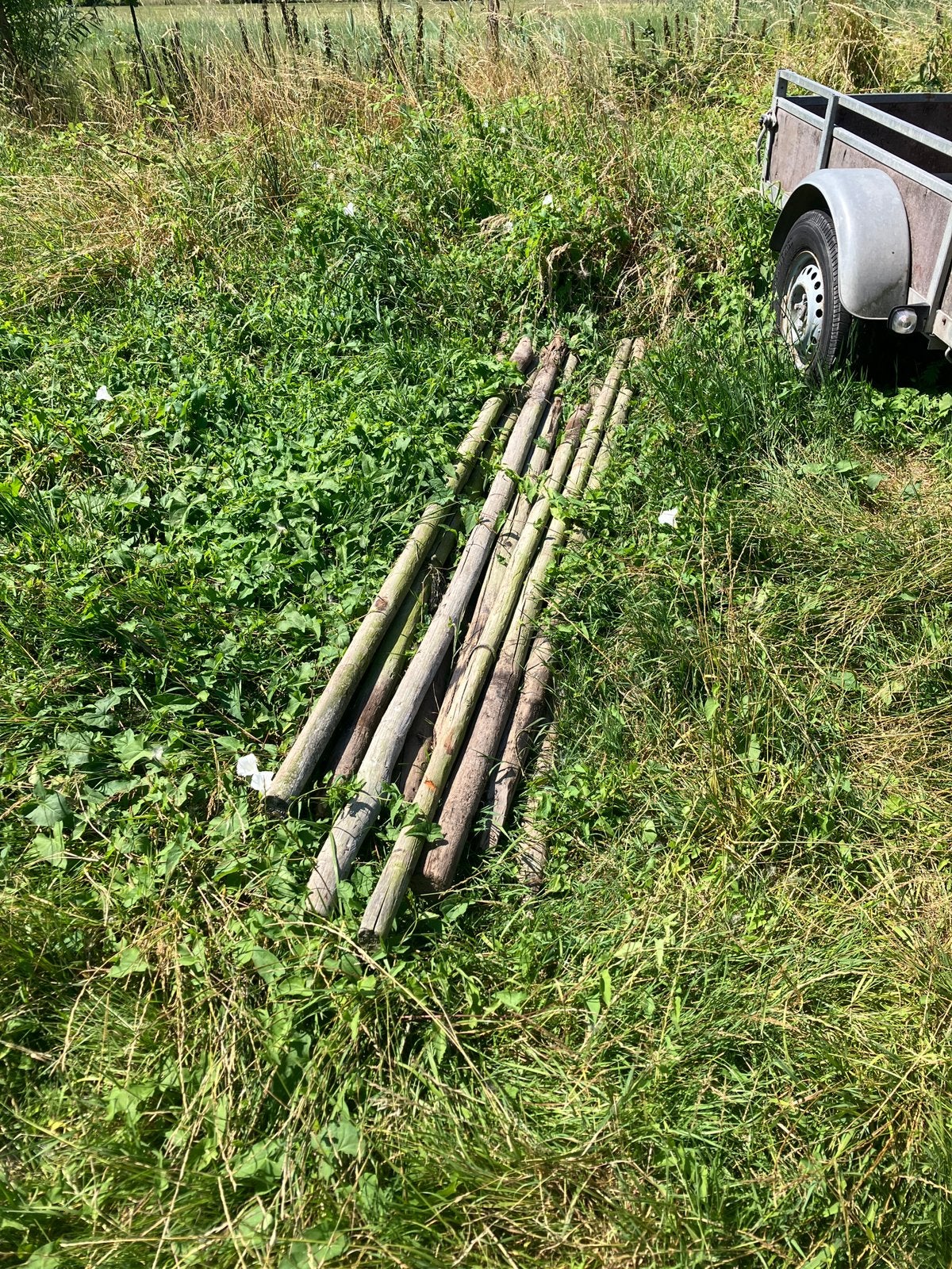 Gecreosoteerde boompalen, Ophalen, Gebruikt, 180 tot 250 cm, Palen