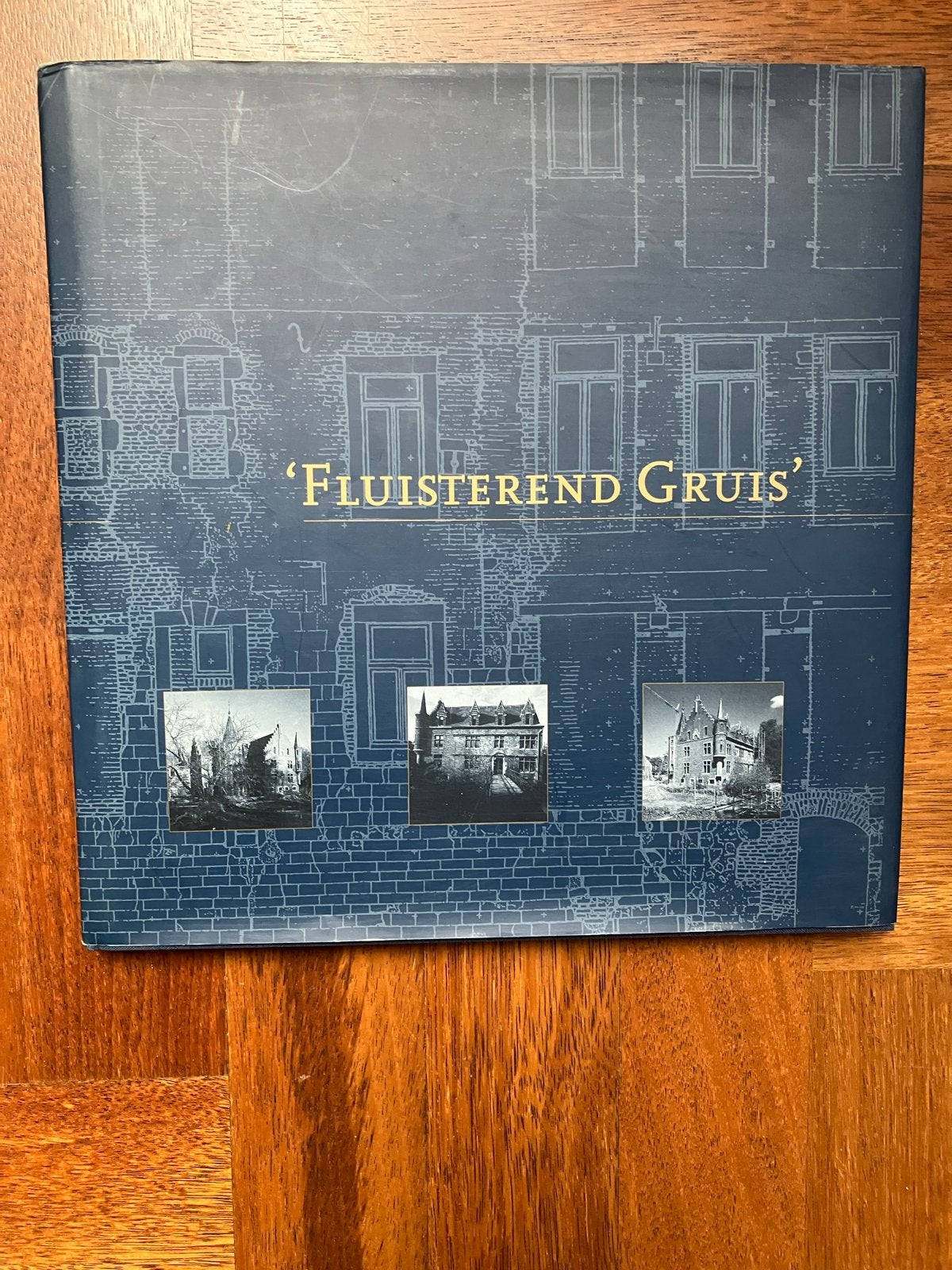 Fluisterend Gruis (kasteel TerWorm), Boeken, Geschiedenis | Stad en Regio, Ophalen, Zo goed als nieuw
