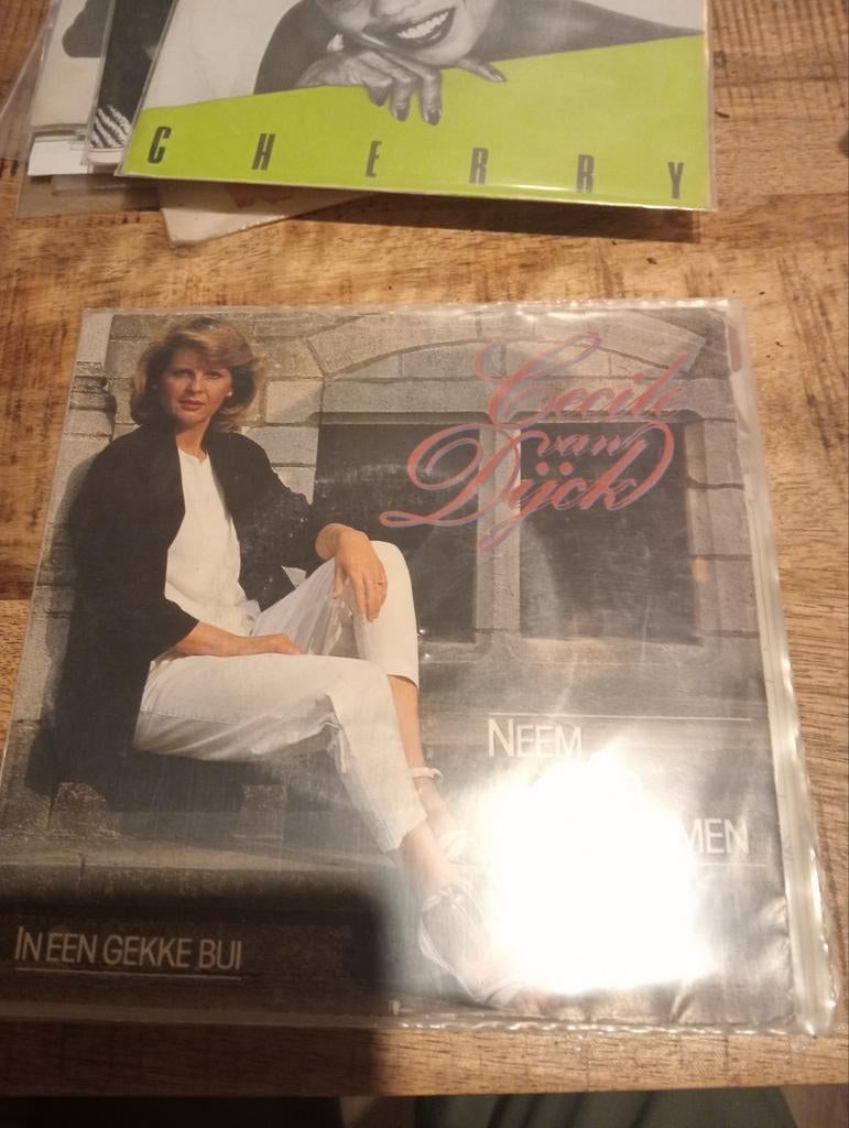 Cecile van dijck - neem de tijd om te dromen, Cd's en Dvd's, Vinyl | Nederlandstalig, Ophalen of Verzenden, Zo goed als nieuw