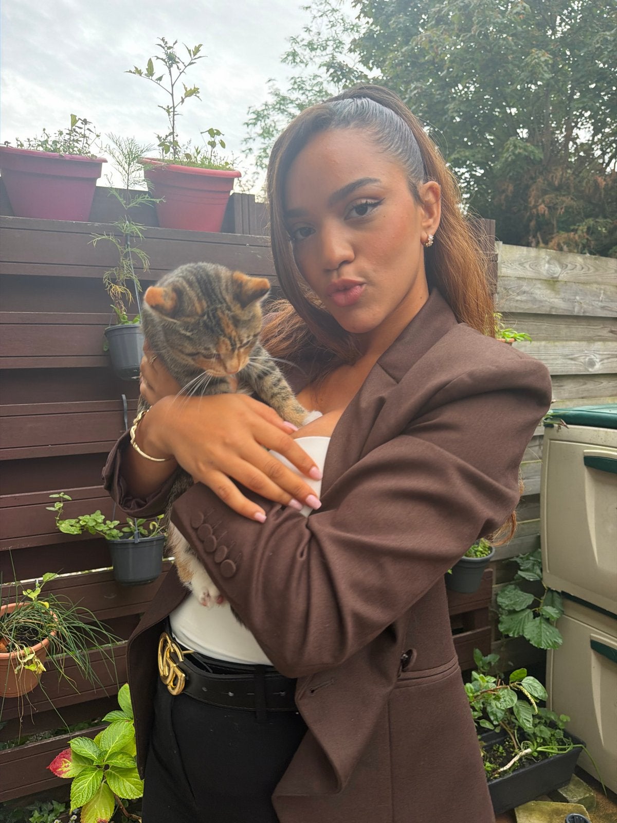 Lieve poes britse korthaar x lapjes