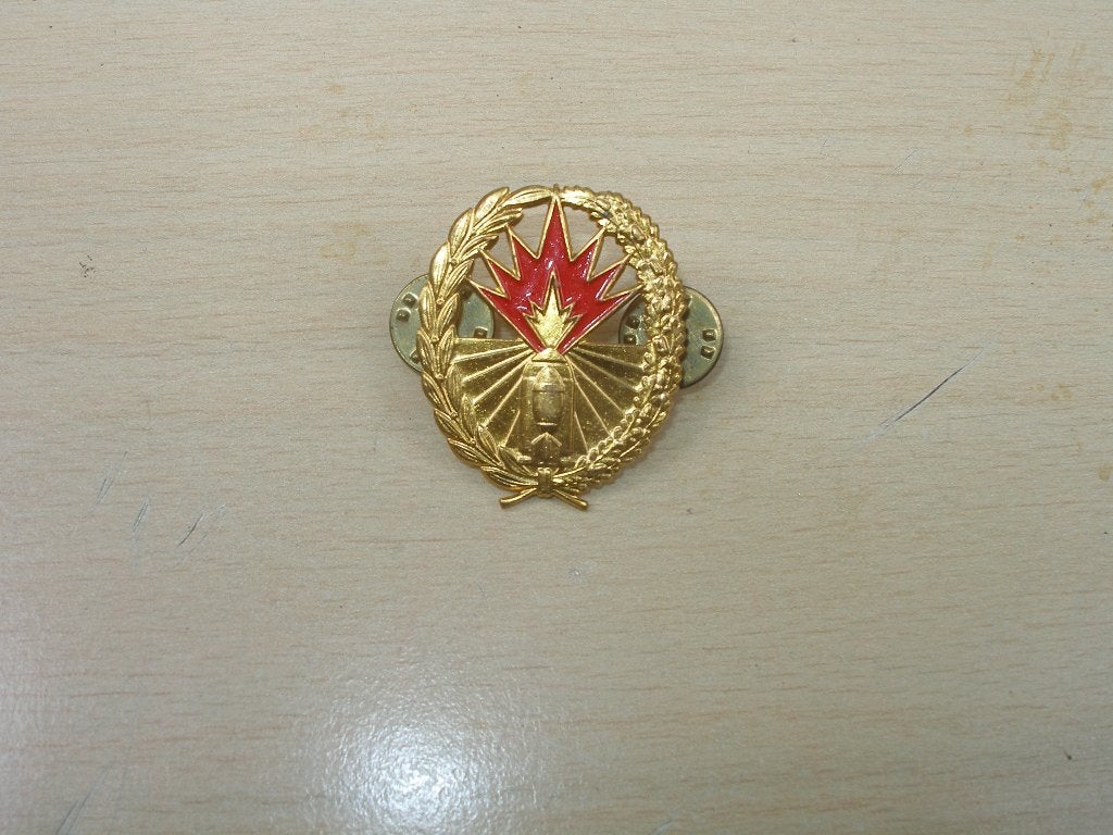 Vaardigheidsembleem Algemene Vuursteunsystemen, Ophalen of Verzenden, Landmacht, Nederland, Embleem of Badge