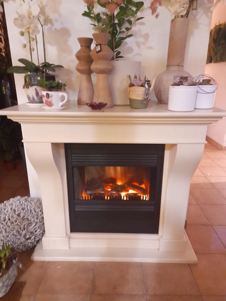 Schouw met elektrische kachel haard, Huis en Inrichting, Ophalen, Gebruikt, Vrijstaande haard, Elektrische haard