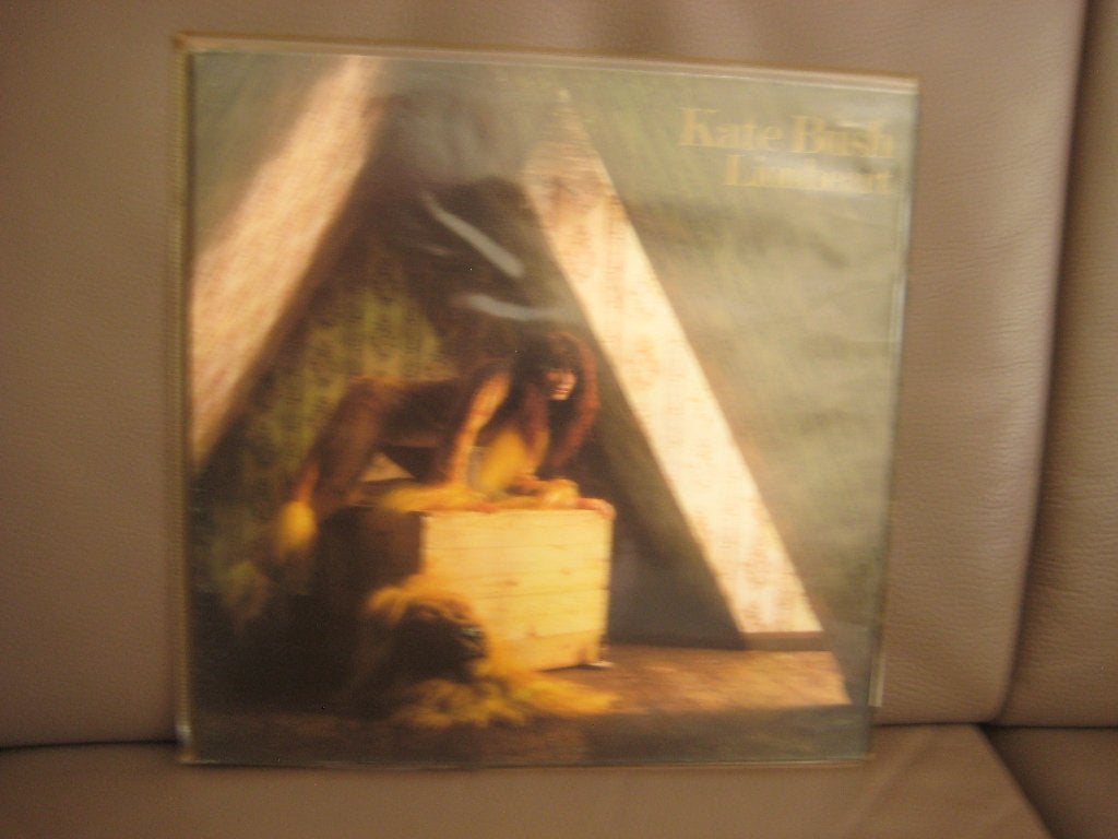 Kate Bush – Lionheart, LP, Ophalen of Verzenden, Zo goed als nieuw, 12 inch