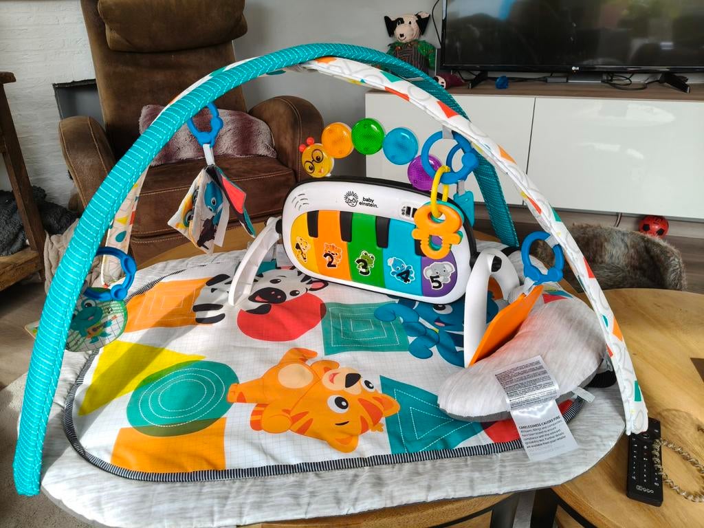 Baby Einstein 4 in 1 speelmat met piano, Ophalen, Zo goed als nieuw, Babygym, Met licht