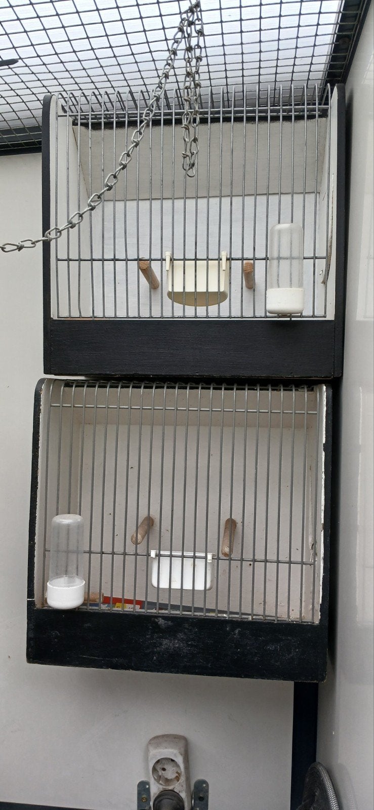transport kooitjes zonder vogels, Meerdere dieren
