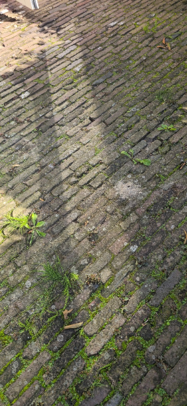Oude klinkers / waaltjes - circa 10 m², Ophalen, Overige materialen, Gebruikt, Klinkers