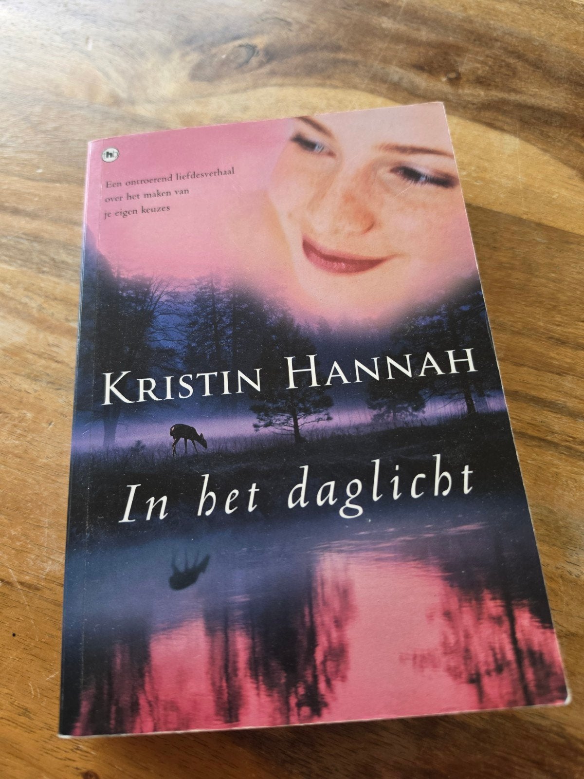 Kristin Hannah - In het daglicht, Gelezen, Ophalen of Verzenden, Nederland, Kristin Hannah
