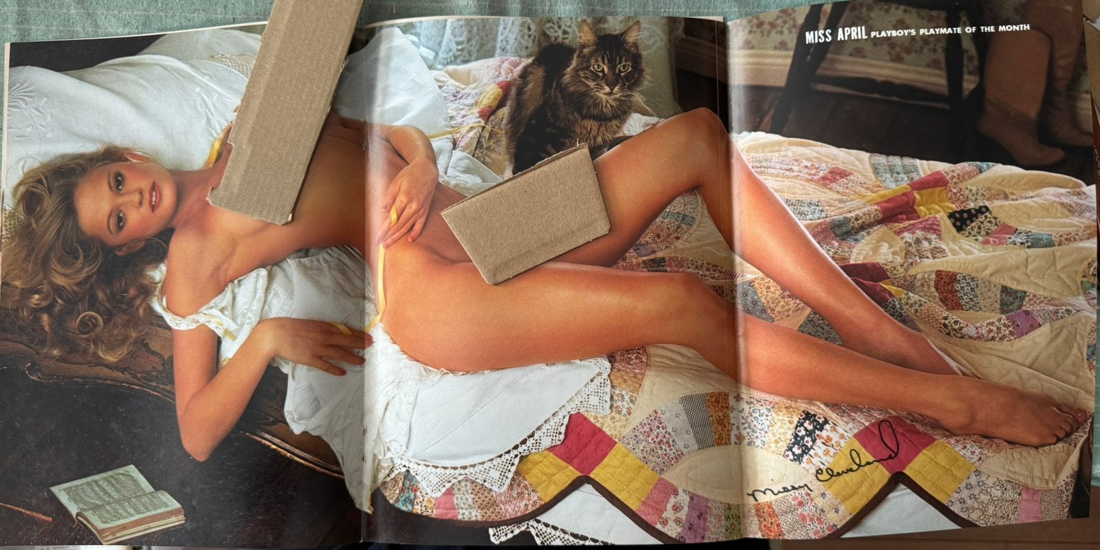 Poster playmate Missy Cleveland april 1979, Rechthoekig Staand, Verzenden, Deurposter of groter, Zo goed als nieuw