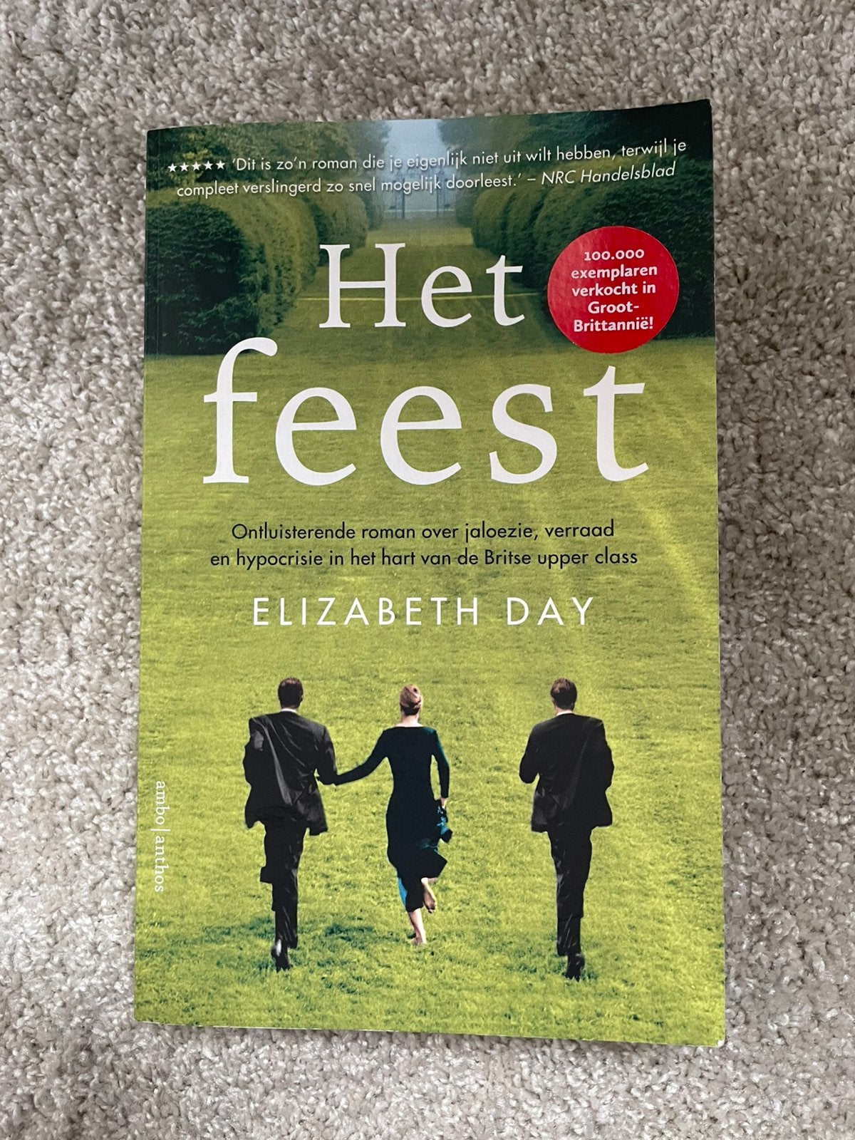 Het feest - Elizabeth Day, Boeken, Ophalen of Verzenden, Gelezen, Europa overig
