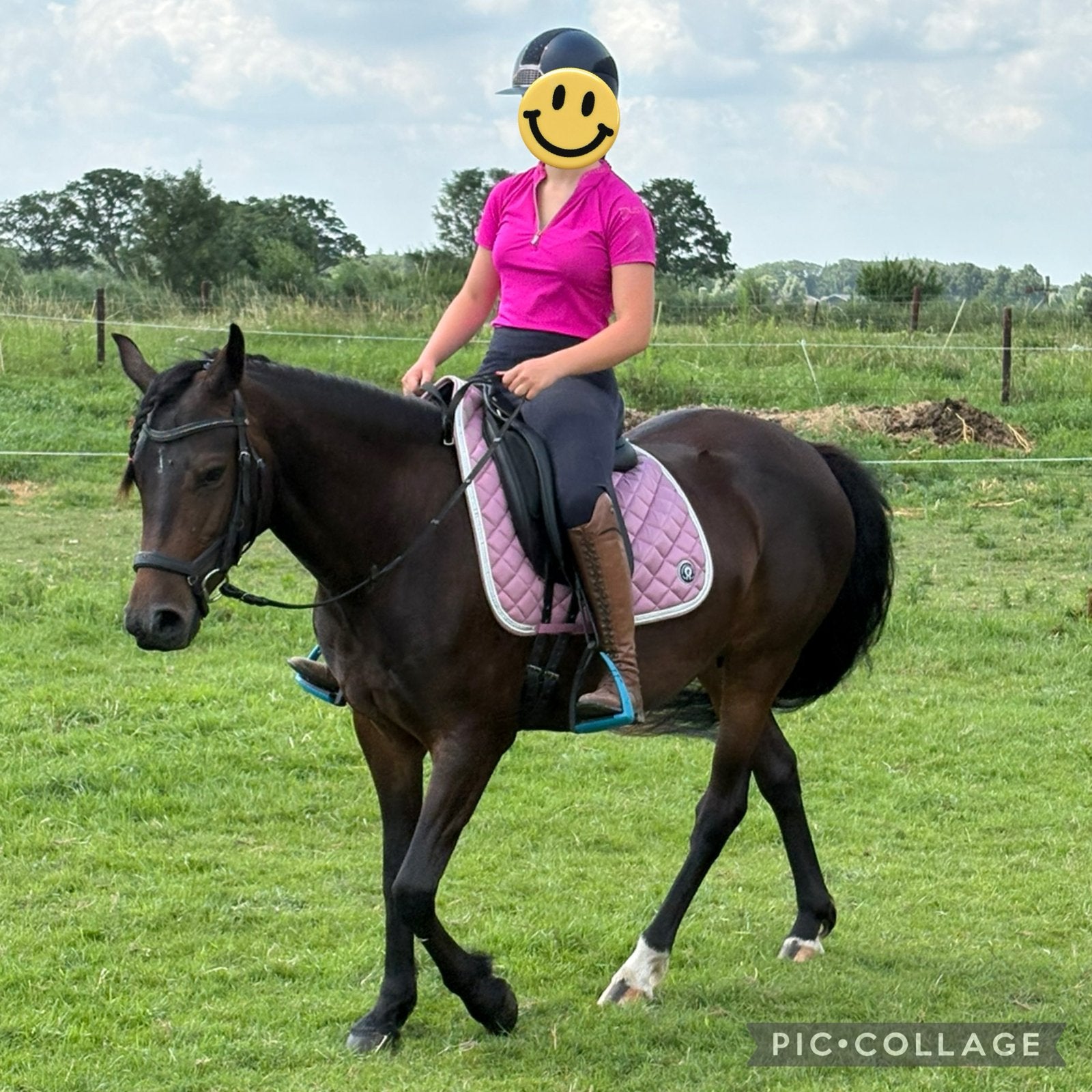 4 Jarige New Forest merrie (zadelmak) EN/OF merrieveulen, Dieren en Toebehoren, Pony's, Merrie, Met stamboom, Dressuurpony, Zadelmak