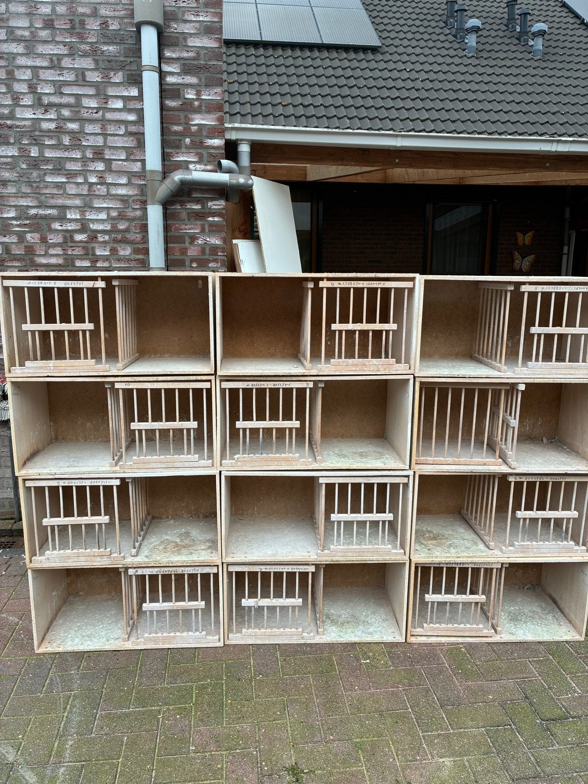 12 weduwnaars bakken / broedbakken, Dieren en Toebehoren, Postduif