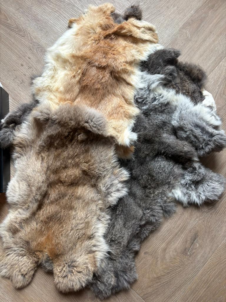 6 mooie konijnenvellen, Ophalen of Verzenden, Zo goed als nieuw, Paard, Beeldje of Figuurtje